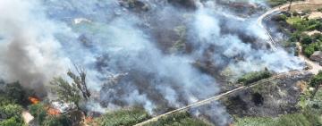 На Ізмаїльщині спалахнули осередки пожеж на відкритій місцевості: урожай не постраждав, але ризики зростають